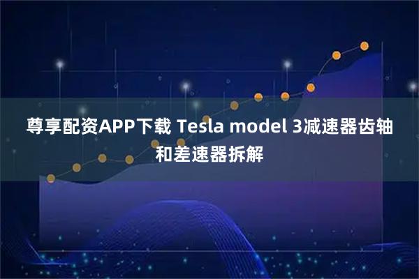 尊享配资APP下载 Tesla model 3减速器齿轴和差速器拆解